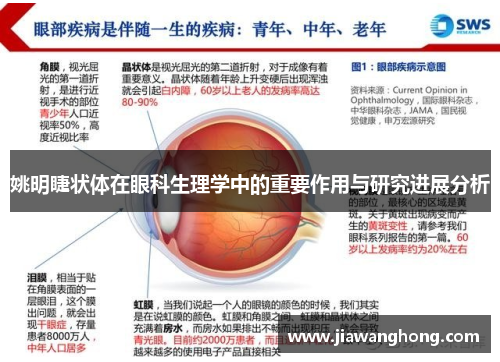 姚明睫状体在眼科生理学中的重要作用与研究进展分析